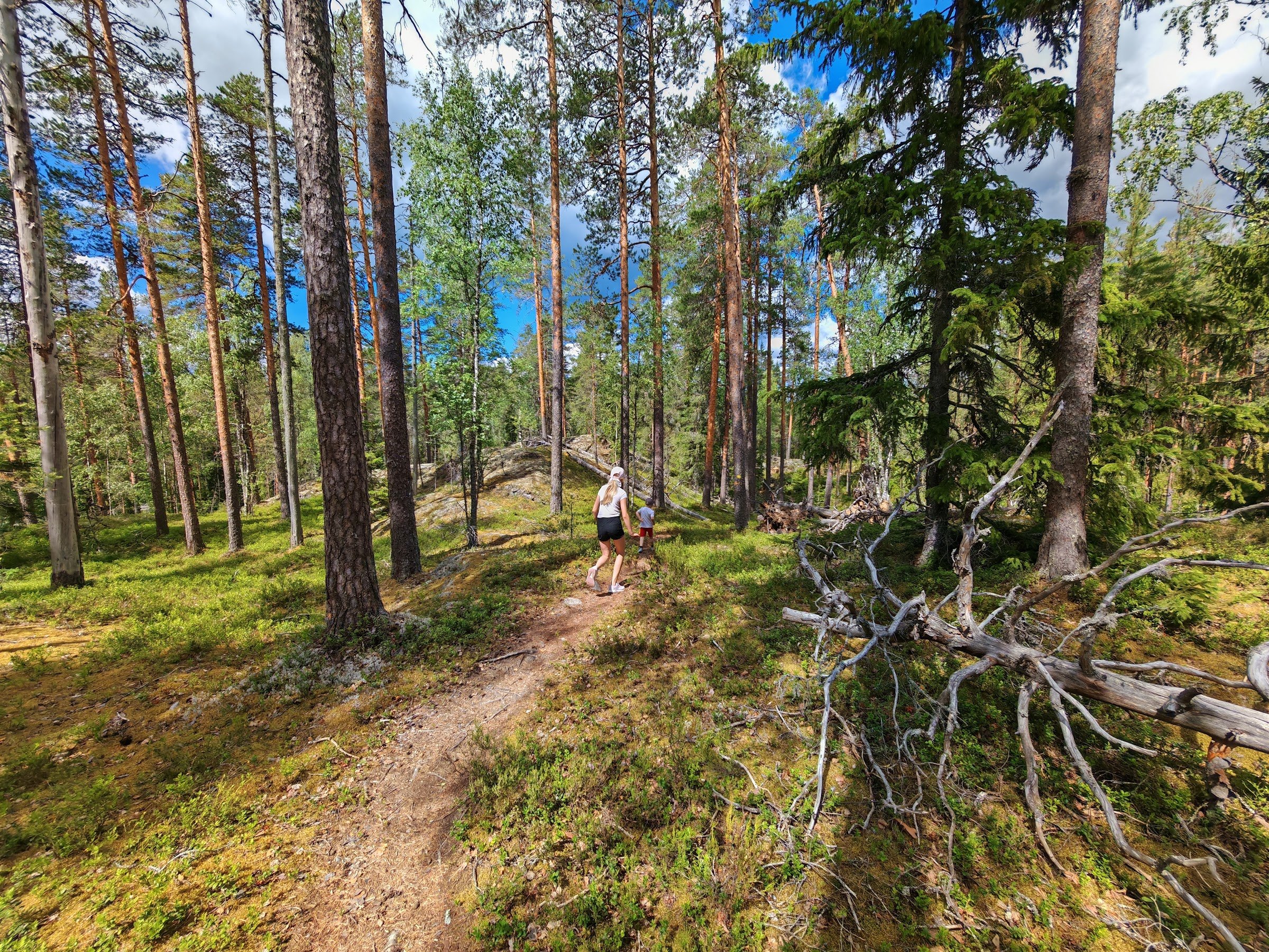 Vilkaharju Nature Trail (Vilkaharjun luontopolku)